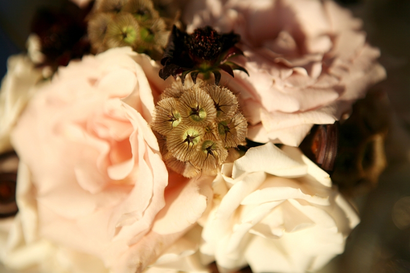 I_0753.jpg