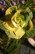 I_0751