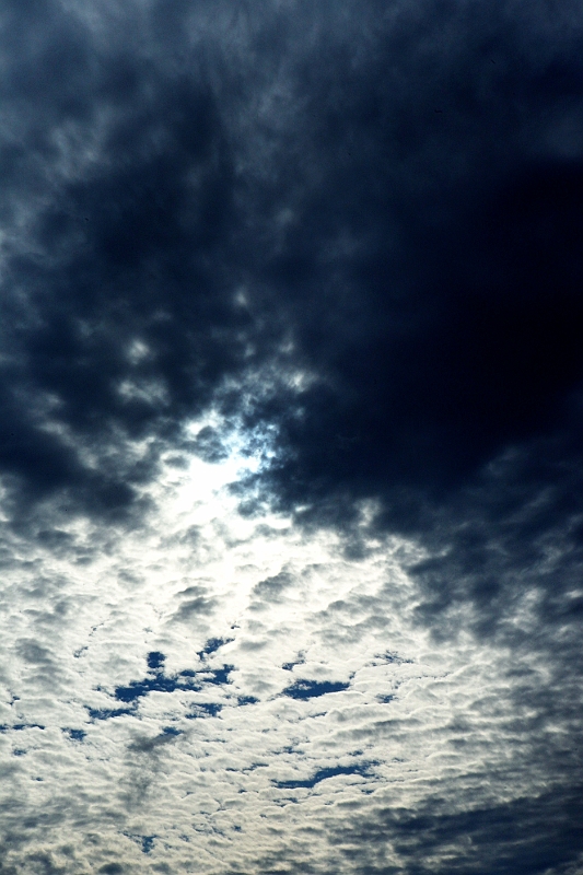 I_1211.jpg